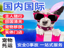 扬州空运地址国际宠物托运 【国